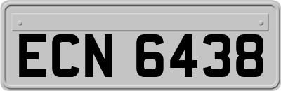 ECN6438