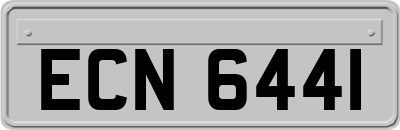 ECN6441