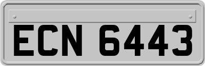 ECN6443
