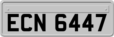 ECN6447