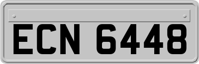 ECN6448