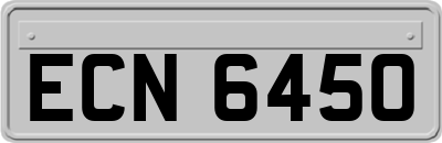 ECN6450