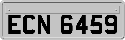 ECN6459