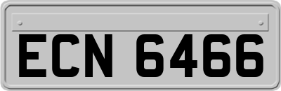 ECN6466