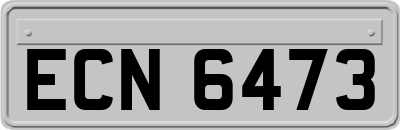 ECN6473