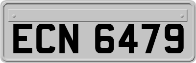 ECN6479