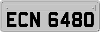 ECN6480