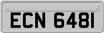ECN6481