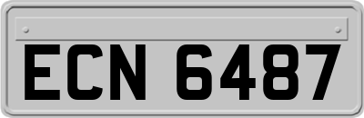ECN6487