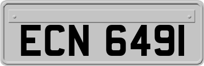 ECN6491