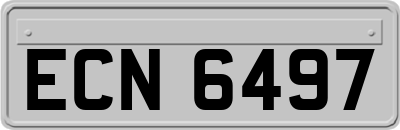 ECN6497