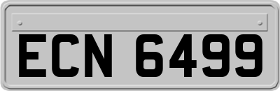 ECN6499