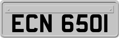 ECN6501