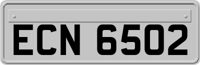 ECN6502