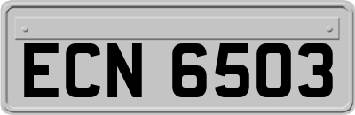 ECN6503
