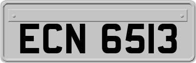 ECN6513