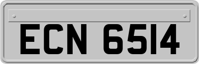 ECN6514