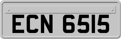 ECN6515