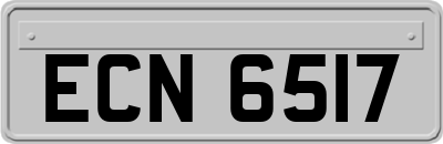 ECN6517