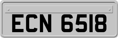ECN6518