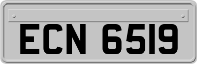 ECN6519