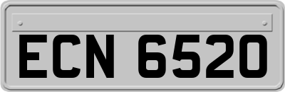 ECN6520