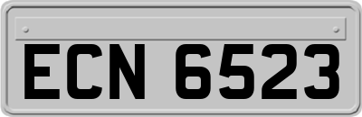 ECN6523