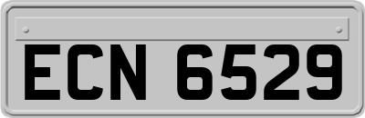 ECN6529