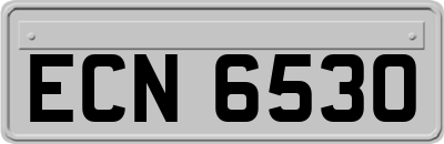 ECN6530