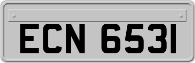 ECN6531