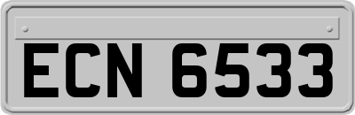 ECN6533