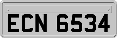 ECN6534