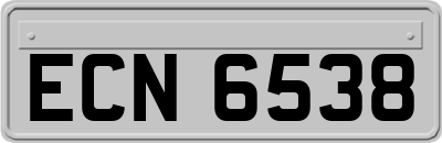 ECN6538