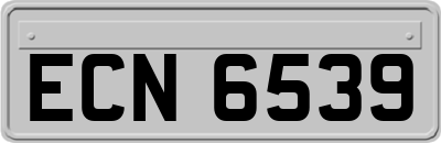 ECN6539