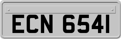 ECN6541