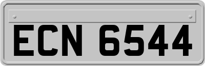 ECN6544