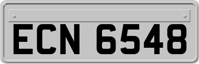 ECN6548