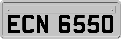 ECN6550
