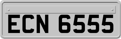 ECN6555