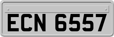 ECN6557