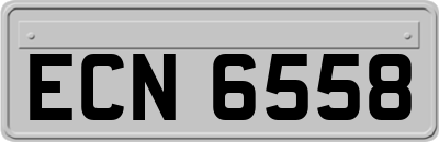 ECN6558