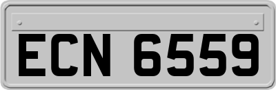 ECN6559