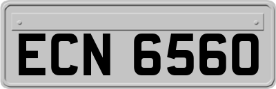 ECN6560