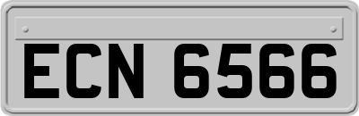 ECN6566