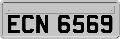 ECN6569