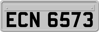 ECN6573