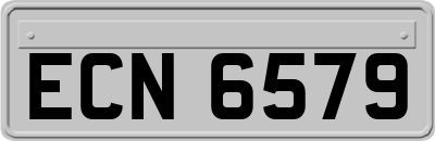 ECN6579