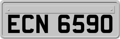 ECN6590