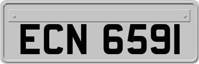 ECN6591