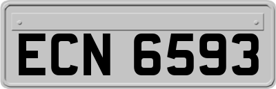 ECN6593
